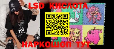 шишки Бийск