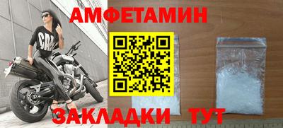 шишки Бийск